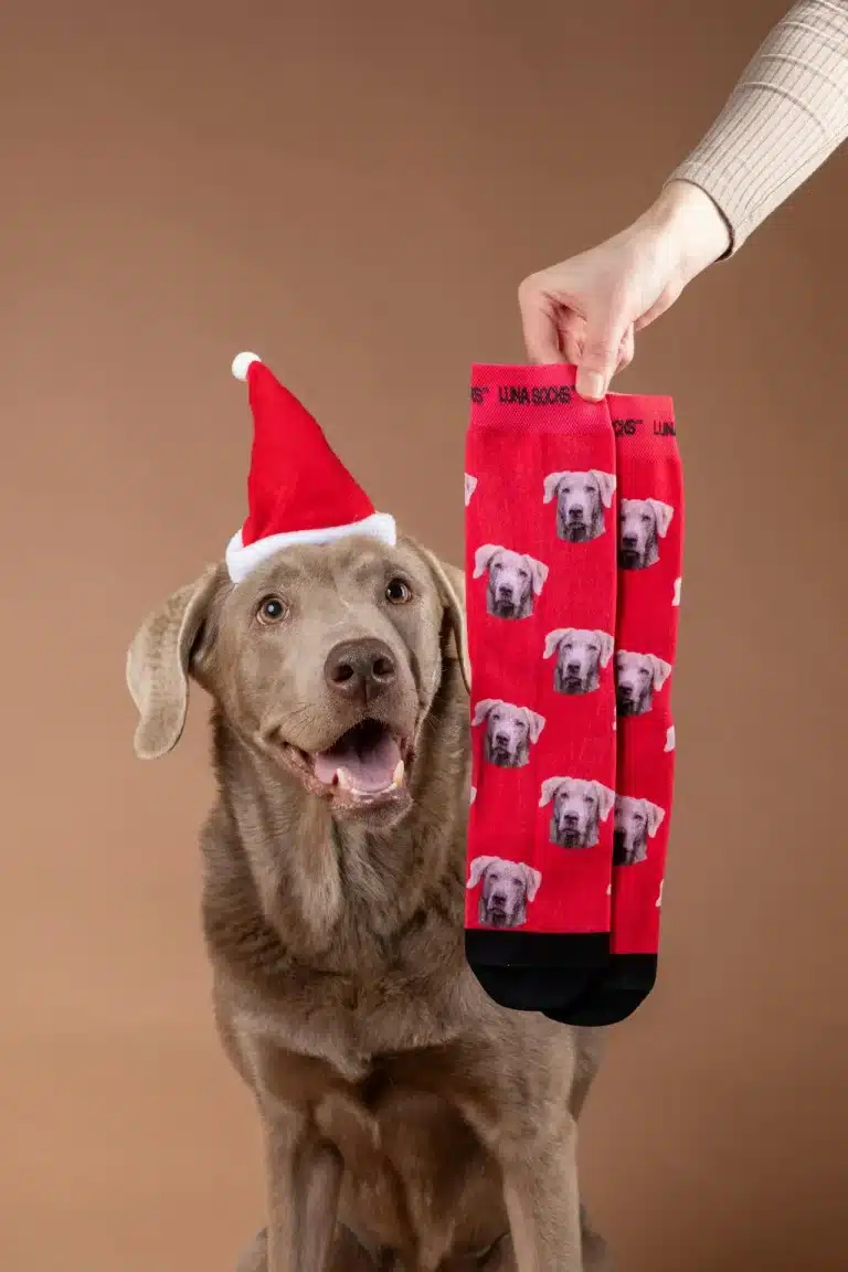 Personlige julesokker